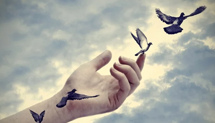 imagem_2025-11-03_100134331